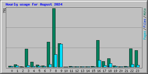 Hourly usage for August 2024